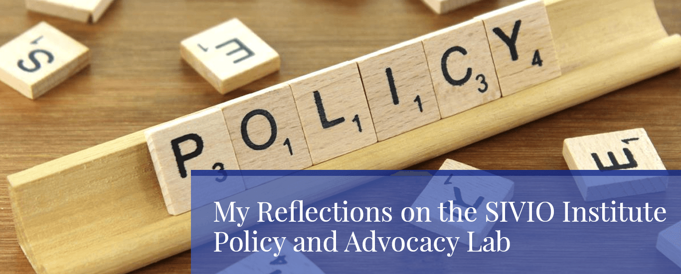 reflections on the public policy lab